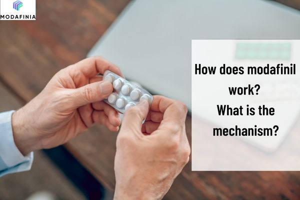 How does modafinil work? What is the mechanism?